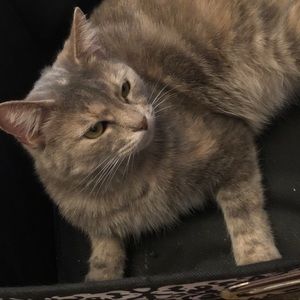 Meet your Posher, Erica